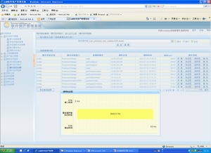 中國空間技術研究院北京衛星制造廠信息系統集成服務解析